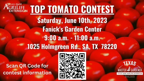 top Tomato Contest
